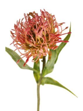 Artificial Pink Pincushion Protea Stem | Faux Leucospermum Flower | Frosted Cora
